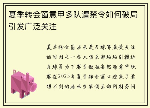 夏季转会窗意甲多队遭禁令如何破局引发广泛关注